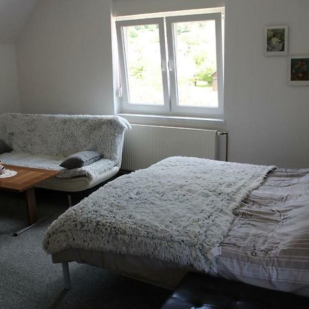 R&G Apartment Zirovnica Exteriör bild