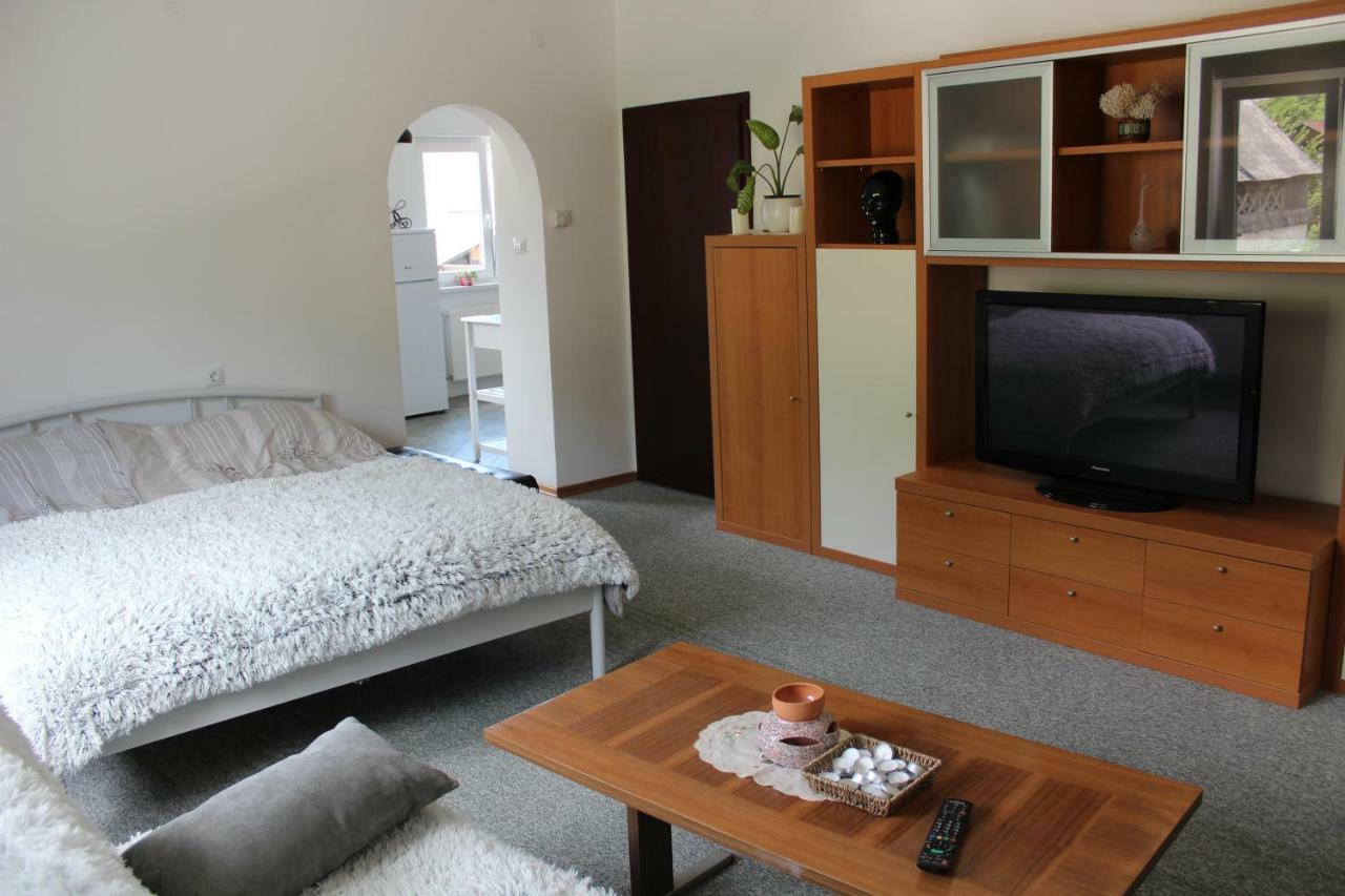 R&G Apartment Zirovnica Exteriör bild